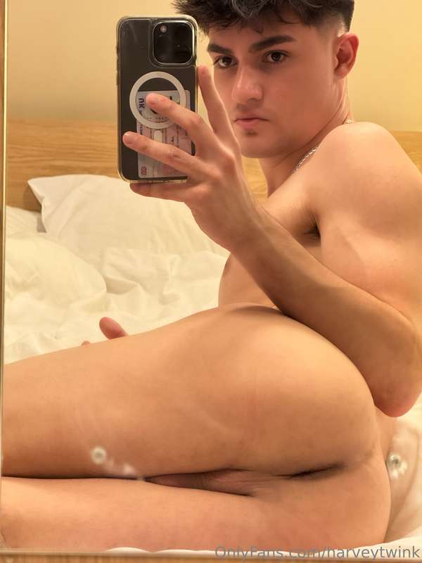 harveytwink