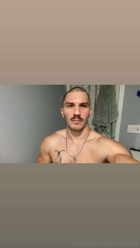 gunterbody
