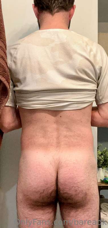 Hump Day 🍑🐻