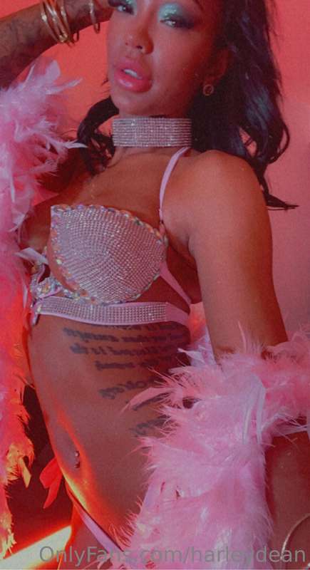 Photo 333 of Harley Dean on Tocromo