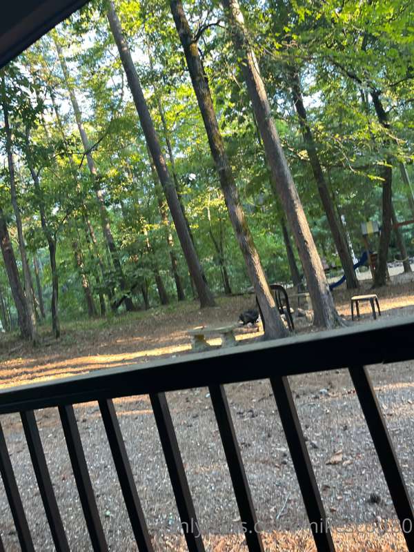 All alone on vacation it’s sure nice here!!  Where am I??
