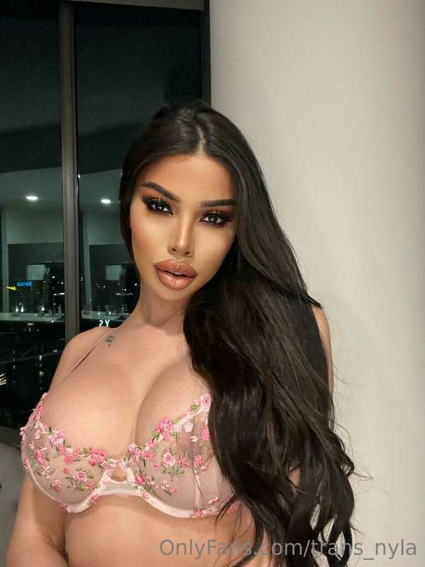 trans_nyla