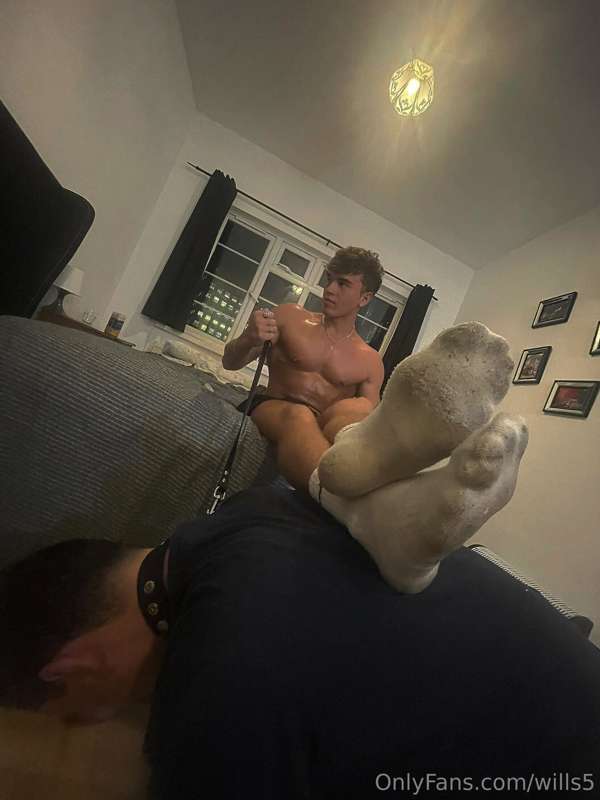 wills5