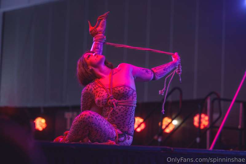 spinninshae image #2
