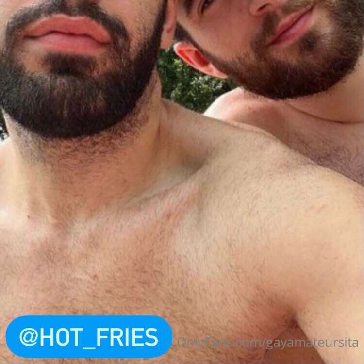hot_fries