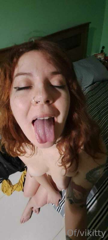 vikitty image #1