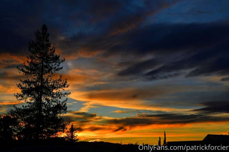 patrickforcier image #29