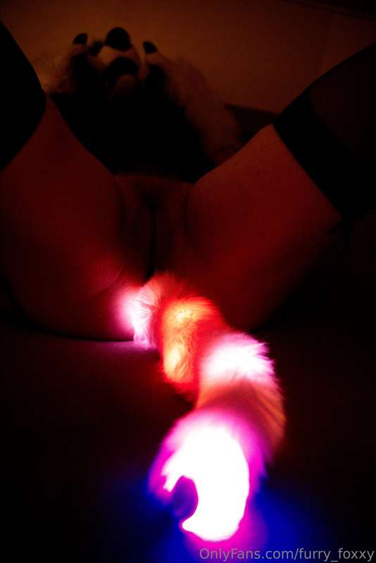 furry_foxxy
