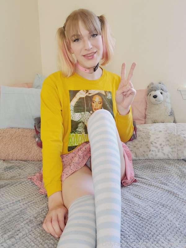evelynnkittenfree image #1