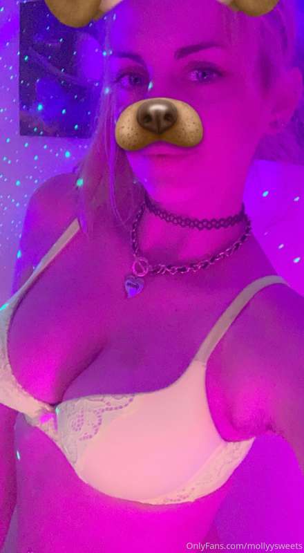 If you could be a dog what kind of dog would you be?! I woul..