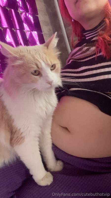 My cat loves my belly too ✨💕🐈