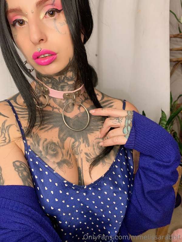 mmelissarabbit