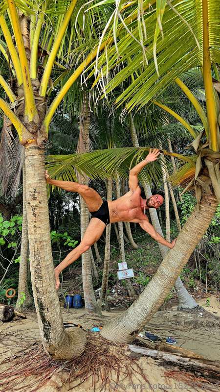Bald Tarzan in Junglewood
