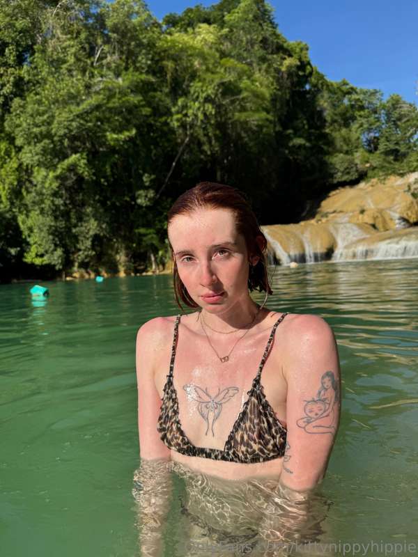 kittynippyhippie image #0