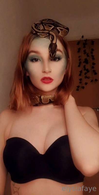 elysiafayex