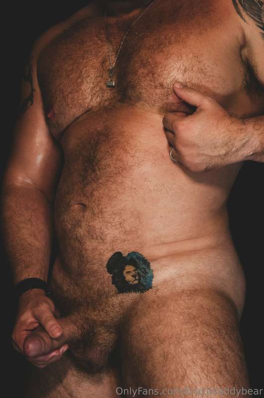 brazildaddybear