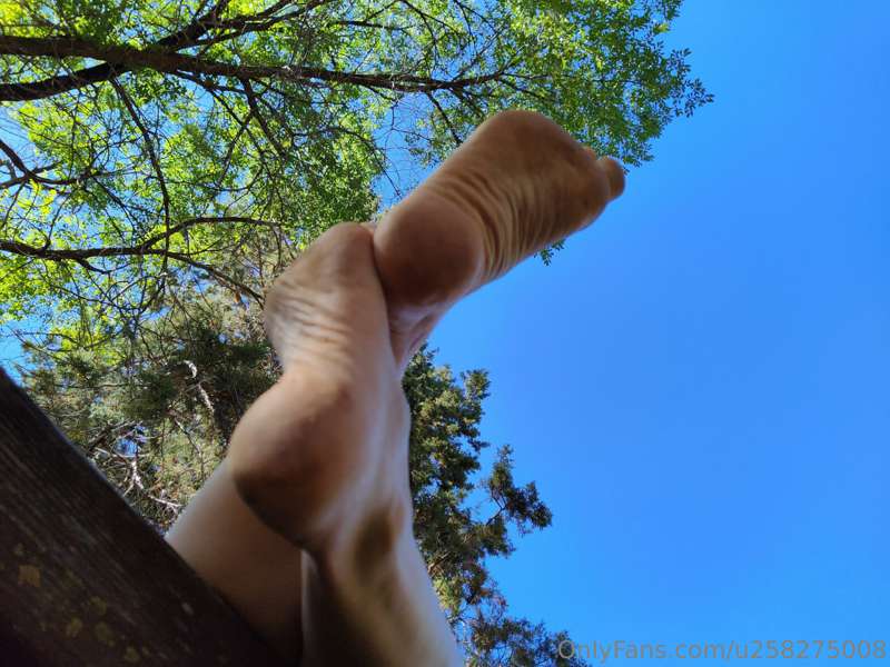 Imagine your surprise, when you awake to my feet, hovering o..