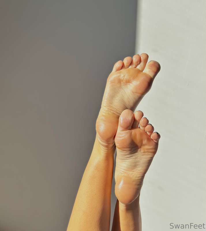 swanfeet