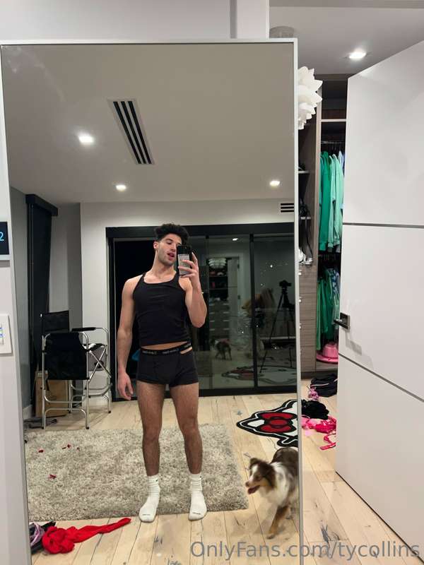 daddycoll