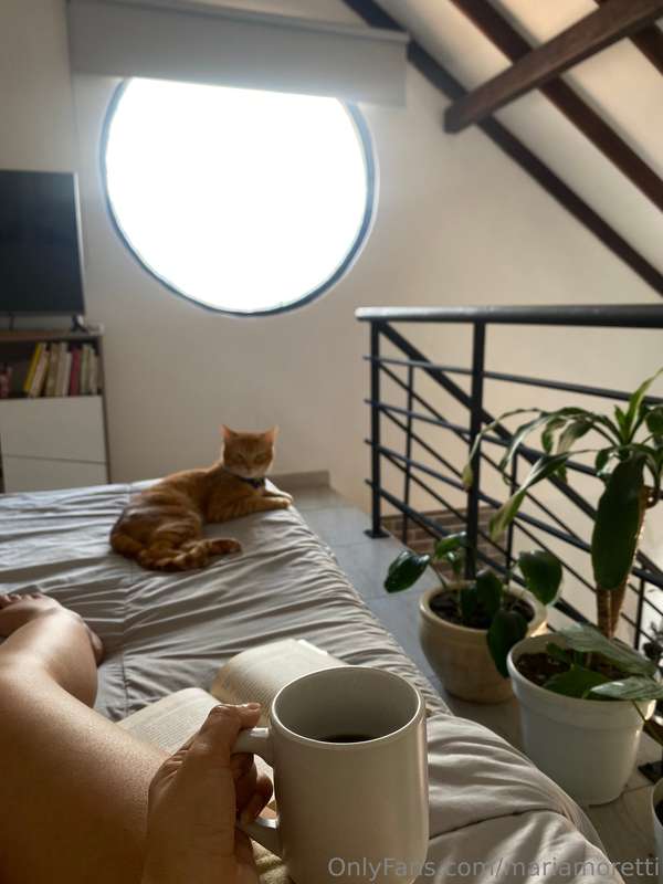 mornings 