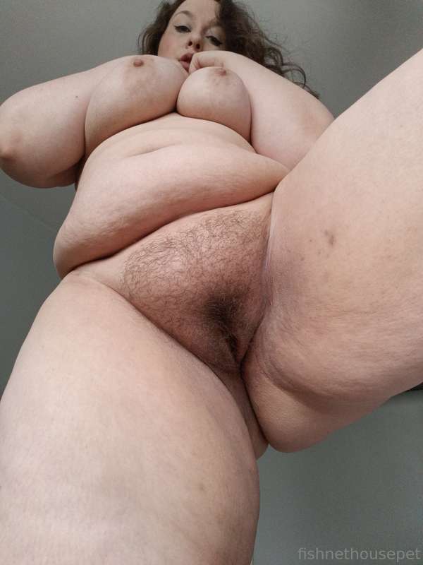 fishnethousepet