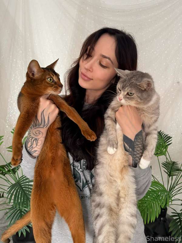 I’m a proud cat mommy of two absolute cuties: Schweppes and ..