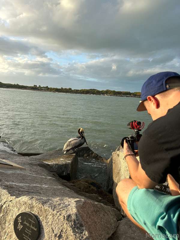 locked in a staring contest with the reeal king of the coast..