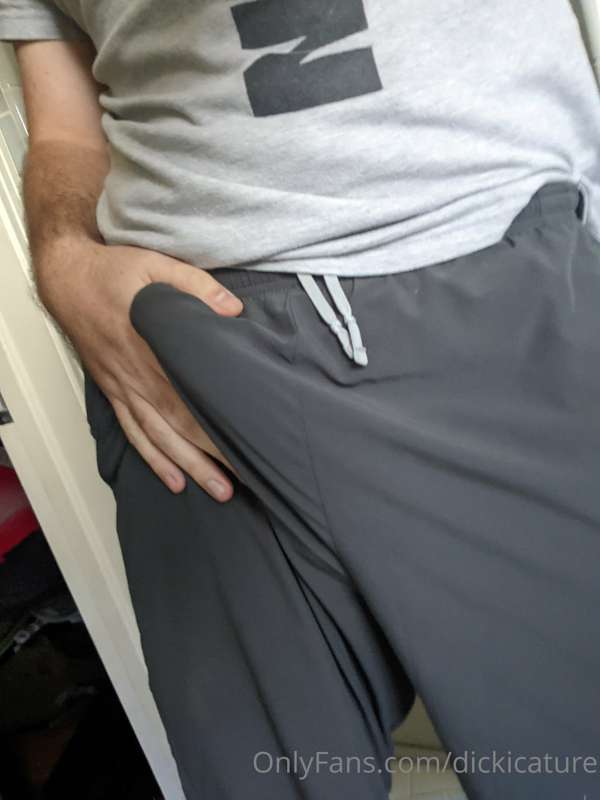 dickicature image #0