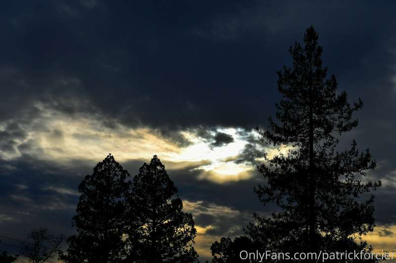 patrickforcier image #24
