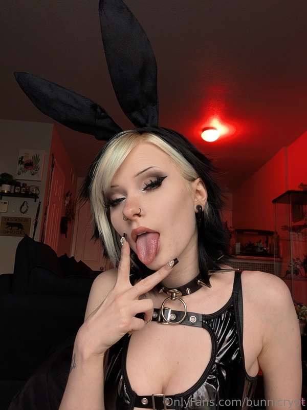 bunnicrypt image #11