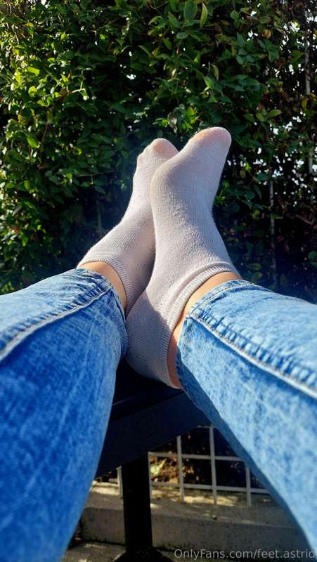 media