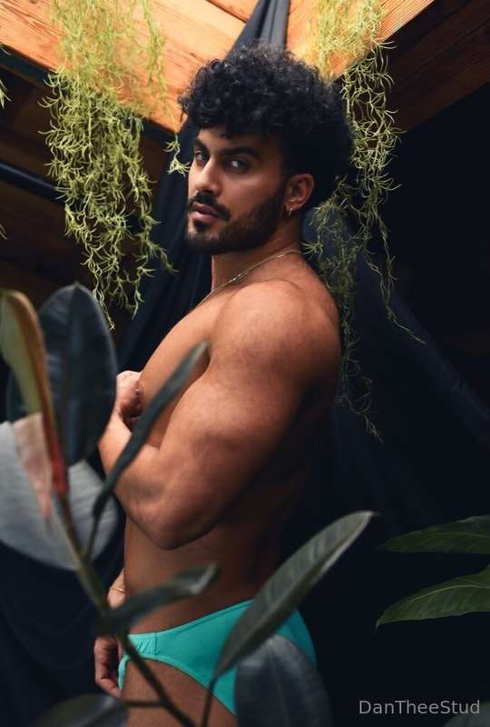 dantheestud