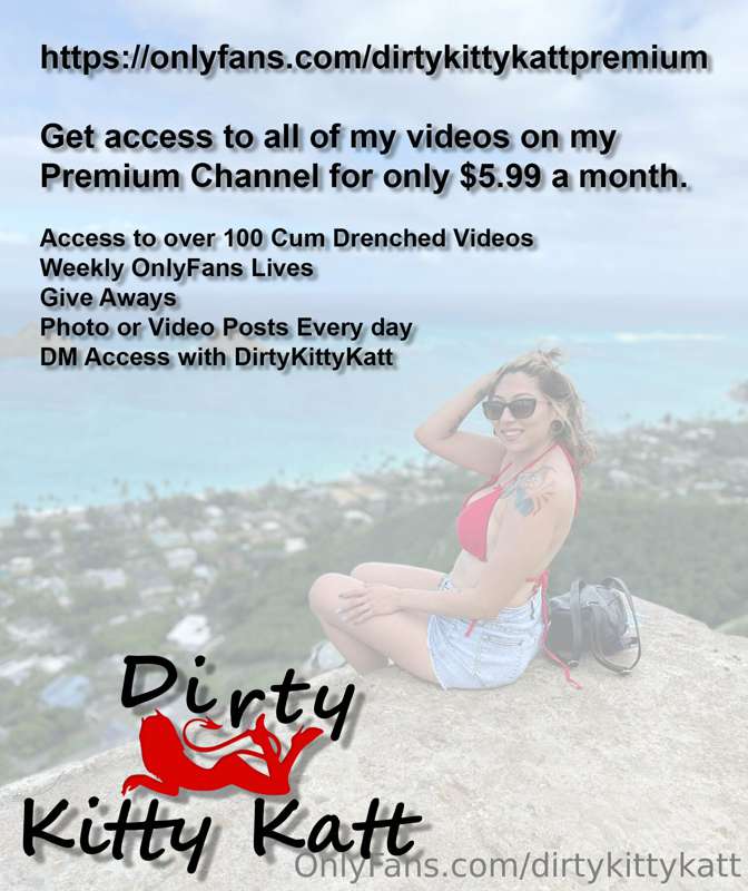 dirtykittykatt