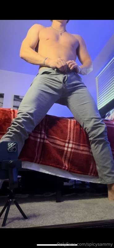 spicysammy