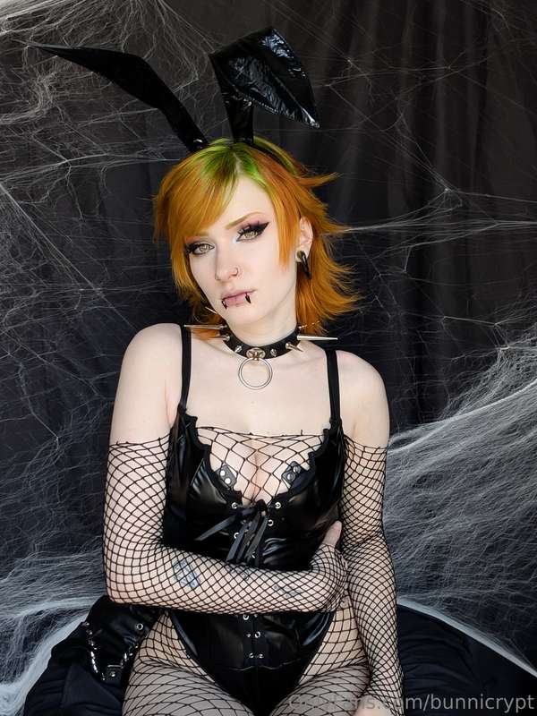bunnicrypt image #14