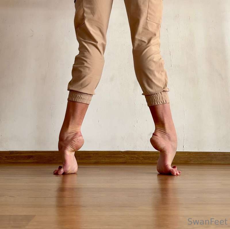 swanfeet