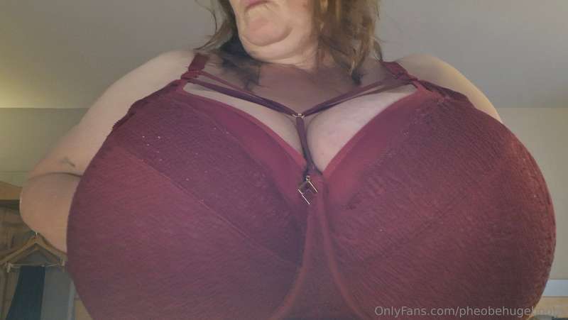 pheobehugeboobs