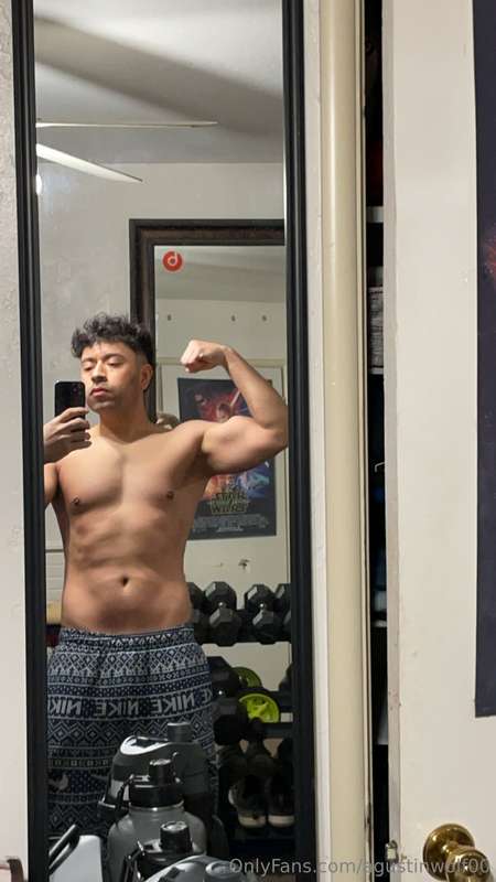 agustinwolf00