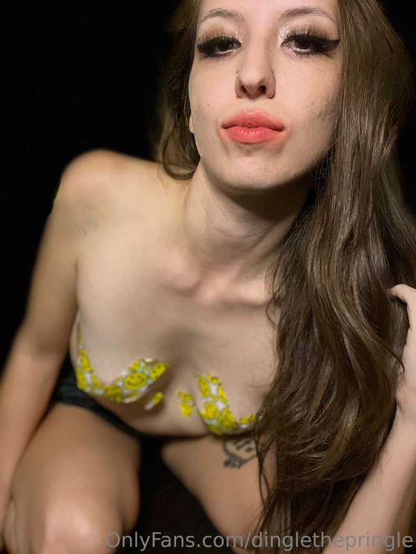 dinglethepringle
