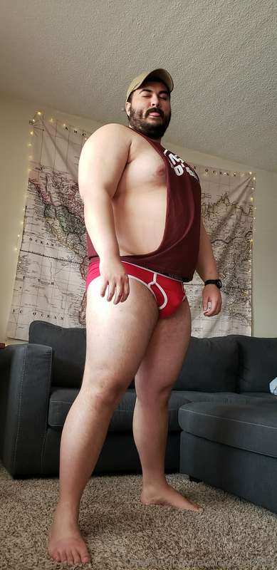 averagecub312 image #13