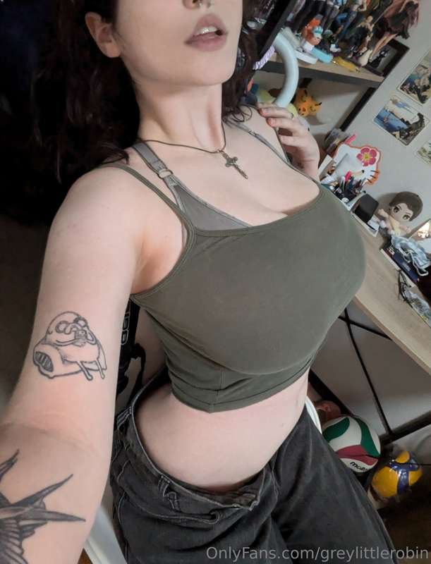 greylittlerobin