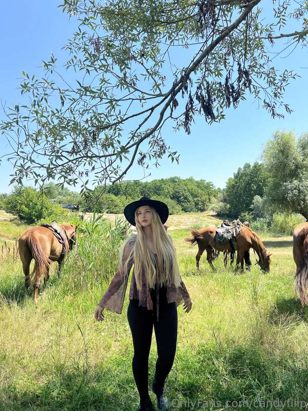 Lost in a sun-drenched meadow and I never want to be found 🐴..