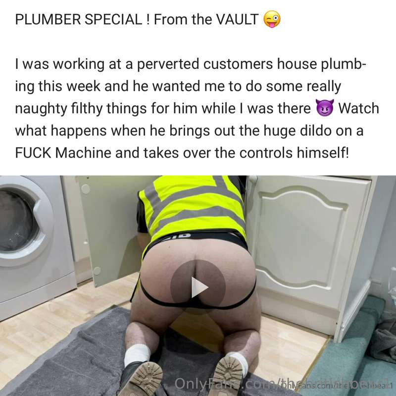 thebritishbear1