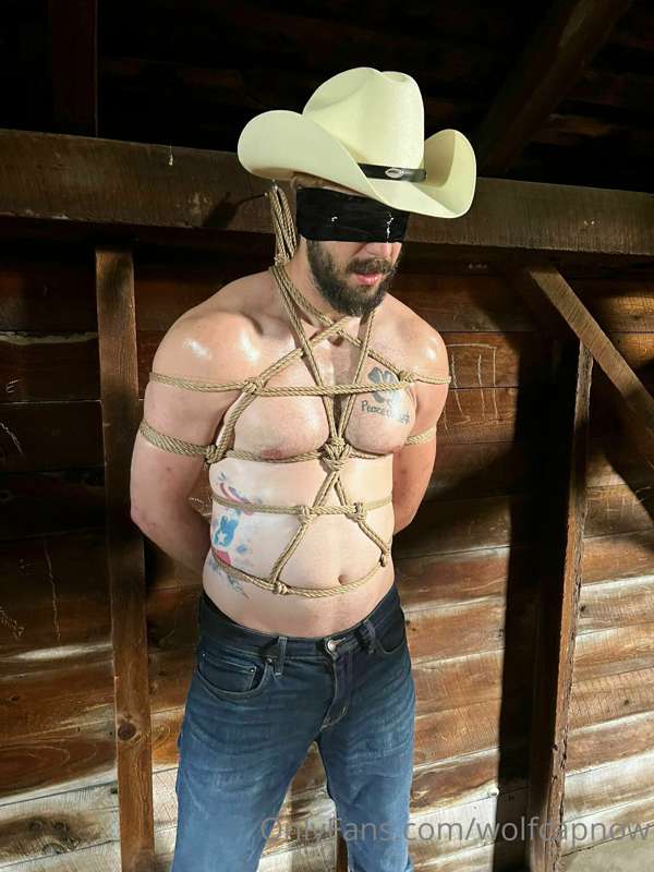wolfcapnow image #1