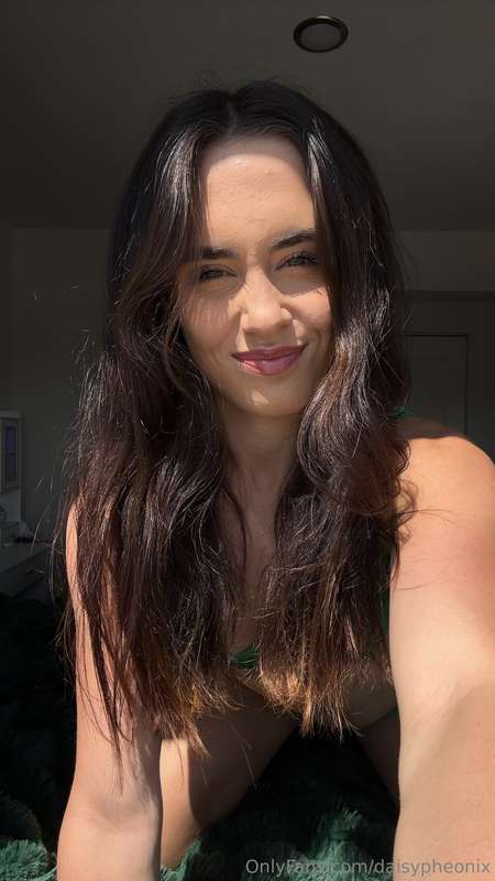 daisypheonix