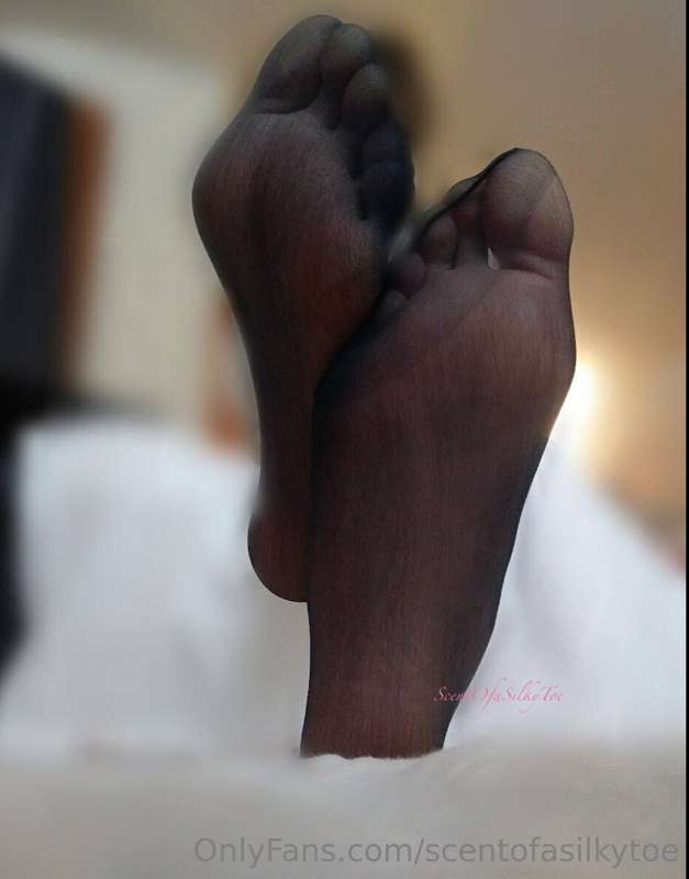 scentofasilkytoe