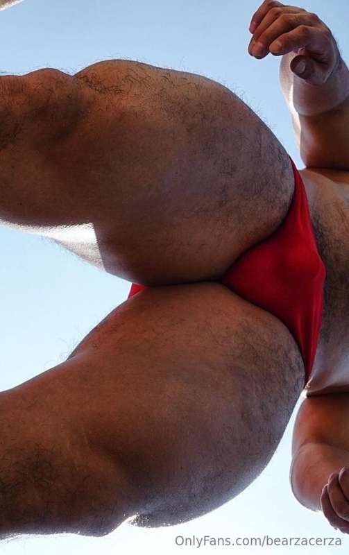 bearzacerza