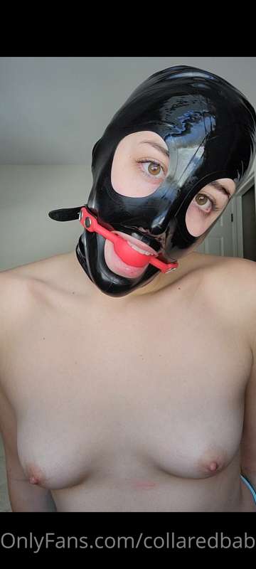 collaredbabe image #2