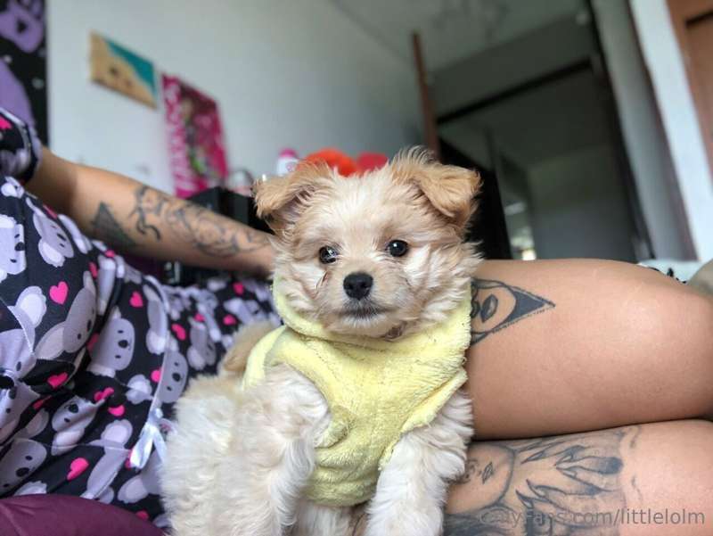 littlelolm