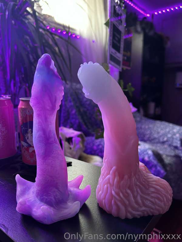 Which one do you want me to film with first this week?